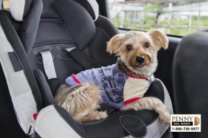 call-san-bernardino-bailbonds