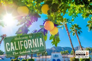 Here Are Somethings to Do This Spring in California