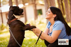 dog leach laws california