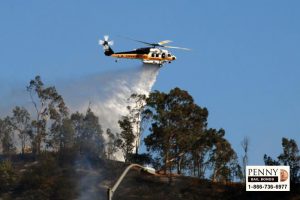 preventing wildfires in california