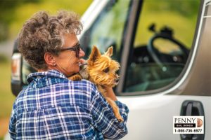 stealing pets california